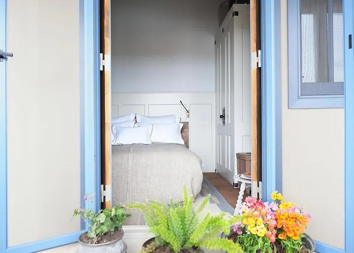 Rumevi Отель типа 