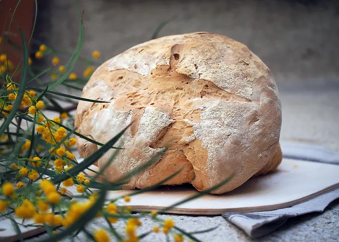 Rumevi Отель типа 